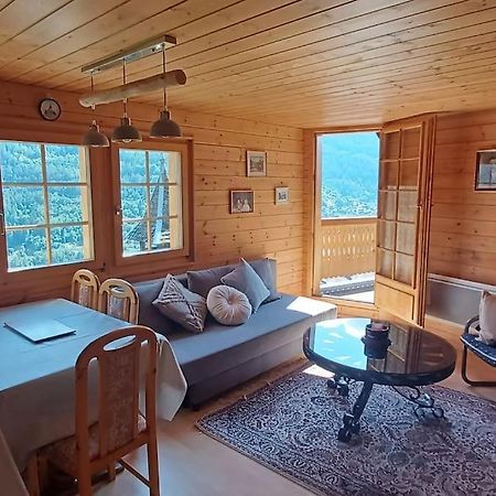 Chalet 3 Pieces De Caractere Mayoux Esterno foto
