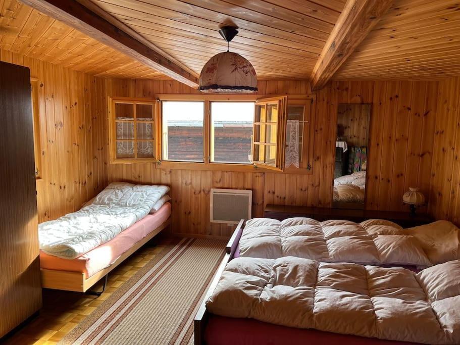 Chalet 3 Pieces De Caractere Mayoux Esterno foto